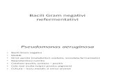 Microbiologie LP Bacili Gram Negativi Nefermentativi
