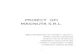 GFI Proiect Final 1