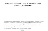 Curs Endocrin
