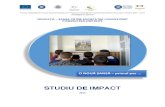 136375_Studiu de Impact