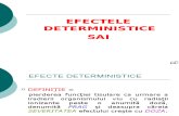 Efecte Deterministice -SAI_1