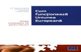 Cum functioneaza UE, 2013.pdf