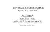 Matematica Liceu (sinteza)