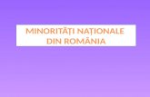 Minoritati Nationale Din Romania