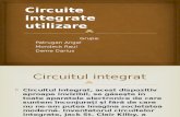 Circuite Integrate Aplicatii (Proiect)