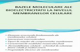 2. Bazele moleculare ale electricitatii.pdf