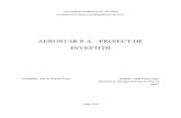 Investitii Aerostar