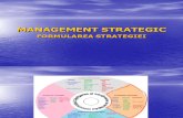 MS P4 Formularea-strategiei IRUOI