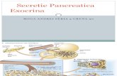Secretie Pancreatica Exocrina - Prezentare