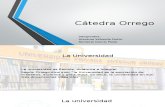 Catedra Orrego