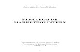 Strategii de Marketing Intern_Budac_2013