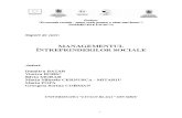 Curriculum de pregatire managementul intreprinderilor  sociale cursuri.doc