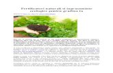 Fertilizatori Naturali Si Ingrasaminte Ecologice Pentru Gradina Ta