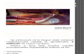 Materiale Cu Aplicatii Cardiovasculare Si Respiratorii - Teodora Mereuta