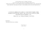 Contabilitatea Veniturilor Provenite din Activitatea de Exploatare la Institutia de Credit Banca Transilvania.doc