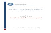 Raport Sesiune Lucru - Securitate Si Diplomatie Energetica - Final