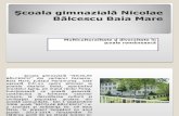 Şcoala gimnazială Nicolae Bălcescu Baia Mare_promovare_ed_romi_2014.ppt