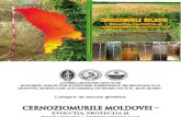 Cernoziomurile Moldovei - evolutia, protectia si restabilirea fertilitatii lor