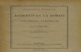 Agricultura La Romani - Cresterea Albinelor - P. S. Aurelian (1905)