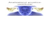 Analizatorul Acustico-Vestibular Wut