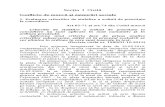 CA Pitesti Decizii Relevante TRIMESTRUL IV 2012.doc