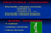 FRACTURILE  COLOANEeI