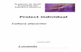 Proiect Individual cultura Afacerilor