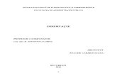Disertatie - Raportul Parlament - Guvern in Romania