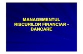Managementul Riscurilor Financiar Bancare