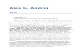 Alex G. Andrei-Jocul 04