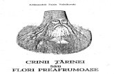 Paisie Velicikovski - Crinii Tarinei sau flori preafrumoase.pdf