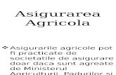 Asigurare Agricola-Man Alexandra