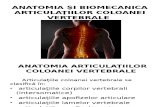 Anatomia Şi Biomecanica Articulaţiilor Coloanei Vertebrale