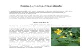 Tema I Plante Medicinale Proiect