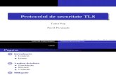 Protocolul TLS
