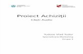 Proiect Achizitii Casti Audio