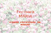 Fecioara Maria-In Manastirile Lumii(SS-09.12)A