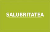 PROIECT-Salubritatea (1)