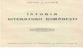Hanes, Istoria Literaturii Romanesti