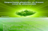 Importanta Plantelor Cu Frunze Verzi in Alimentatia Zilnica