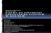 Mediul de Afaceri Si Provocarile Acestuia in Romania