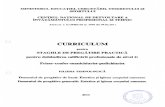 Curriculum - spp frizer coafor manichiurist pedichiurist (1).pdf