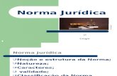 Norma Juridica Slides