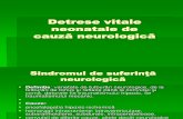 Detrese Vitale Neonatale de Cauza Neurologica2