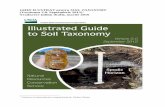 Ghid Ilustrat Pentru Soil Taxonomy (Versiunea 2.0. Septembrie 2015). Ultimul Draft, Martie 2016