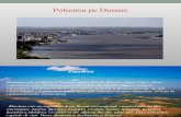 Poluarea Pe Dunare