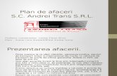Plan de Afaceri S.C. Andrei Trans S.R.L.