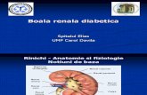 5.i) Boala Renala Diabetica - Ppt