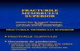 CURS 03 - Fracturile de Membru Superior