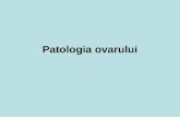Patologia Ovarului Si Pub
